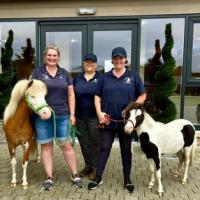 4cddf101 3ba7 45b1 8a12 2da99afb4135