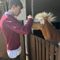 6b7fd020 9e14 423d 82c2 2b827b7d4652