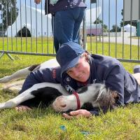 8a29ce77 B839 4f98 8f5a Ef9fd35bf00e