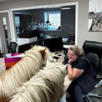 Ae042ea7 A952 4c85 B5df B937aed8405b