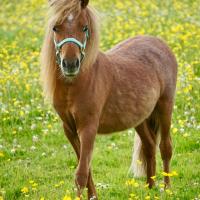 Ecb3274a 5db8 462a 88f2 1cc67d01458e