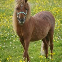 Photo 2024 07 06 17 32 03